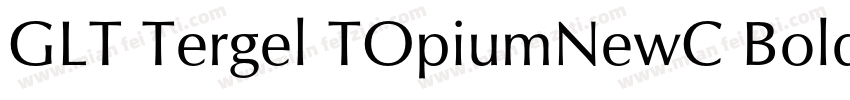 GLT Tergel TOpiumNewC Bold Italicig字体转换